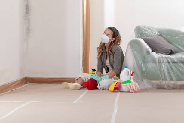 Reliable Mold Removal contractor in Moon, VA by WQB Mold Removal